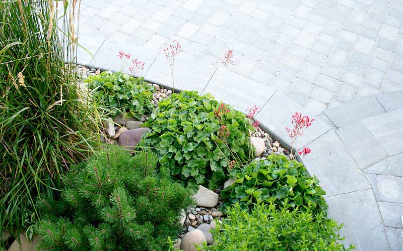 Lethbridge, Alberta, Landscaping, Landscapes, Landscape contractor, Landscape design Lethbridge. Landscape, Flowers and path
